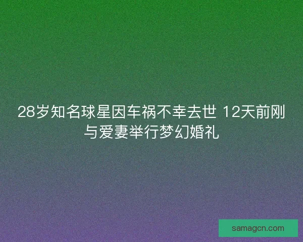 28岁知名球星因车祸不幸去世 12天前刚与爱妻举行梦幻婚礼 28岁知名球星因车祸不幸去世 12天前刚与爱妻举行梦幻婚礼