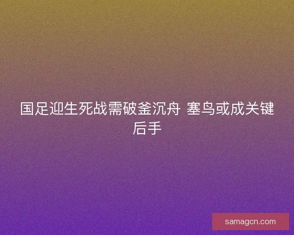 国足迎生死战需破釜沉舟 塞鸟或成关键后手